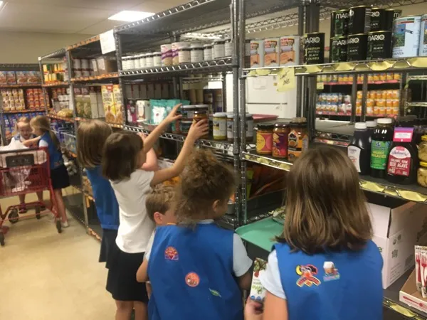 Girl Scouts Helping Stock